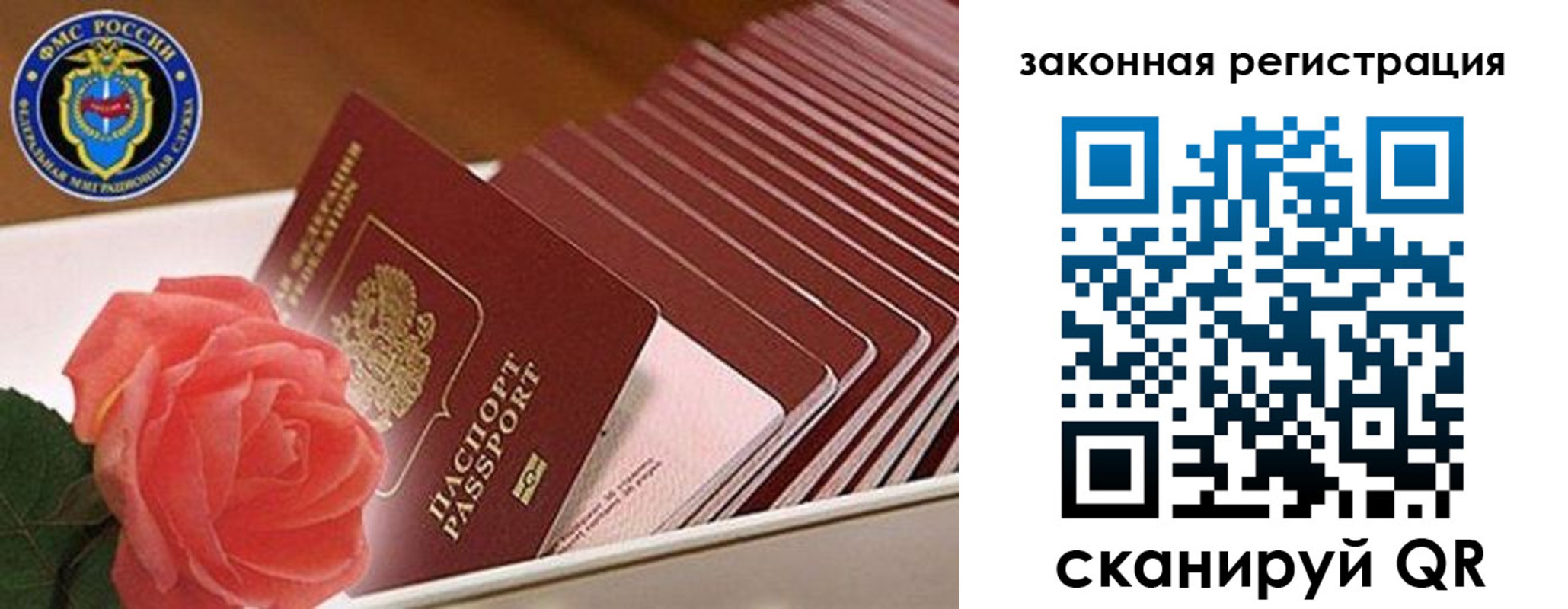 пропишу в квартире в Краснознаменске